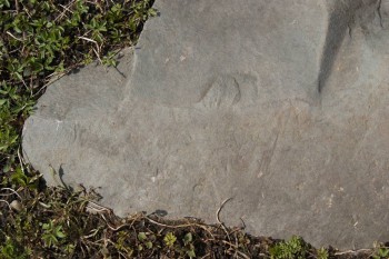 2017-04-20 07-47-34.JPG