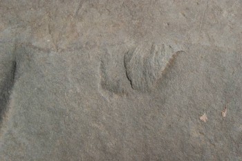 2017-04-20 07-47-56.JPG