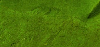 2017-04-20 07-46-54 (2).JPG