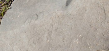 2017-04-20 07-46-54 (3).JPG