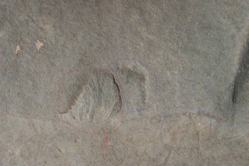 2017-04-20 07-47-56.JPG