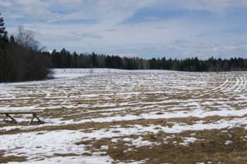 2017-04-20 08-23-32.JPG