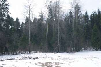 2017-04-20 08-31-40.JPG