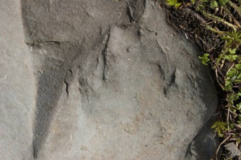 2017-04-20 07-48-14.JPG