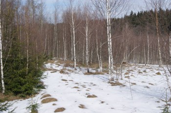 2017-04-20 08-51-12.JPG