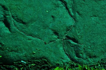 2017-04-20 07-49-26 (2).JPG