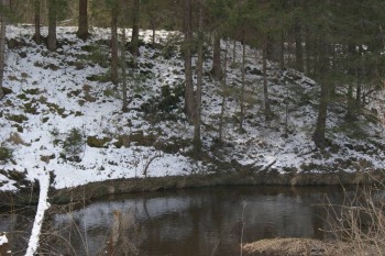 2017-04-20 09-08-46.JPG