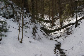 2017-04-20 09-03-22.JPG