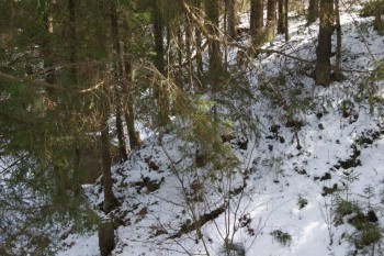 2017-04-20 09-00-04.JPG