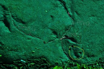 2017-04-20 07-49-26 (2).JPG