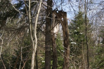 2017-04-20 09-18-28.JPG