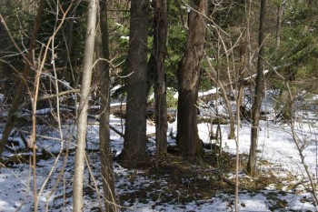 2017-04-20 09-18-32.JPG