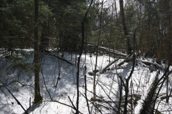 2017-04-20 09-23-58.JPG