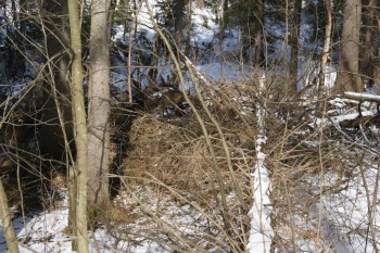 2017-04-20 09-27-34.JPG