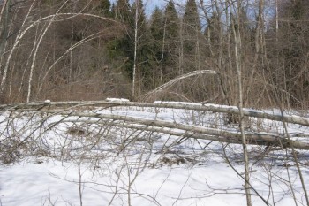 2017-04-20 09-42-48.JPG