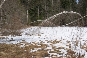 2017-04-20 09-44-38.JPG