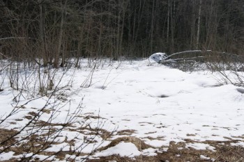 2017-04-20 09-45-44.JPG