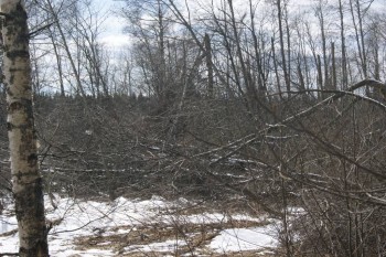 2017-04-20 09-46-42.JPG