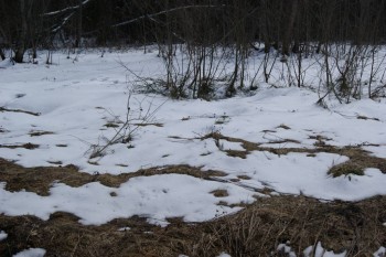 2017-04-20 09-47-28.JPG