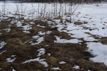 2017-04-20 09-48-08.JPG