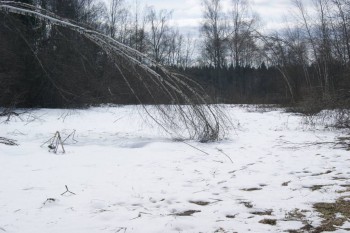 2017-04-20 09-50-50.JPG