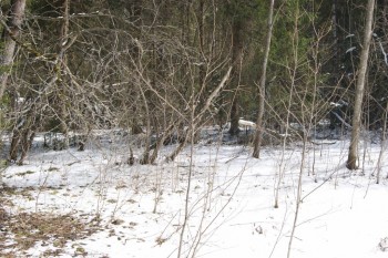 2017-04-20 09-51-02.JPG