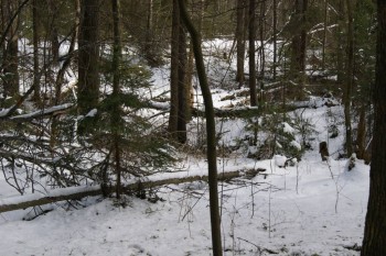 2017-04-20 09-53-20.JPG