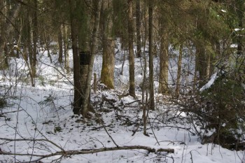 2017-04-20 09-53-32.JPG