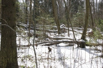 2017-04-20 09-55-42.JPG