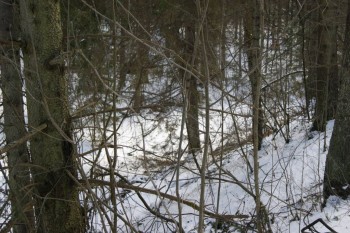 2017-04-20 10-03-46.JPG