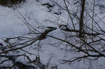 2017-04-20 10-04-50.JPG