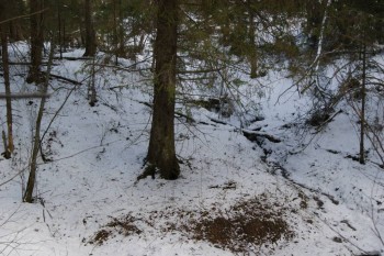 2017-04-20 10-04-56.JPG