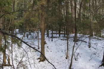 2017-04-20 10-05-58.JPG