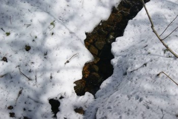 2017-04-20 10-07-30.JPG