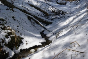 2017-04-20 10-08-28.JPG