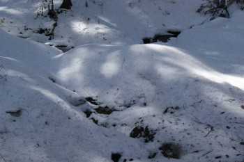 2017-04-20 10-11-34.JPG