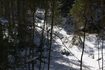 2017-04-20 10-13-20.JPG