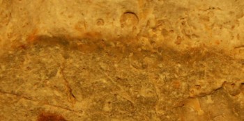 DSC05910.jpg женщина1.jpg