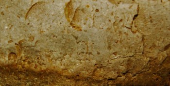 DSC05910.jpg Женщина5.jpg