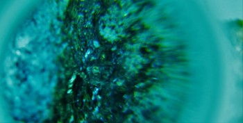 DSC06276.знаки 8.jpg