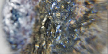 DSC06276.знаки 9.jpg