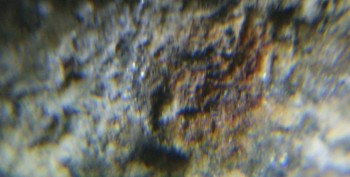 DSC06881.Не может быть.jpg