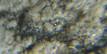 DSC06883.Не может быть.jpg