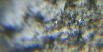 DSC06886.Не может быть.jpg