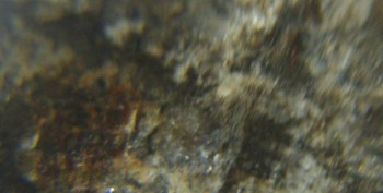 DSC06891.Не может быть.jpg