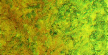 DSC07168.не может быть.jpg