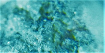 DSC07170.не может быть2.jpg