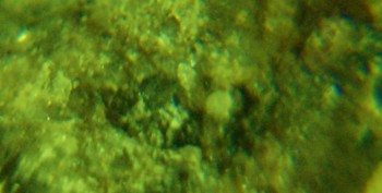 DSC07170.не может быть3.jpg