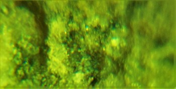 DSC07173.не может быть 4.jpg