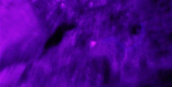 DSC07190 не может быть 8.jpg